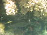 DSC02116