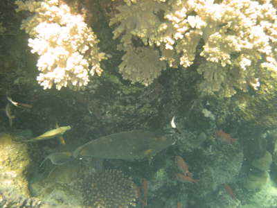 DSC02116