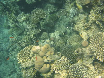 DSC02120