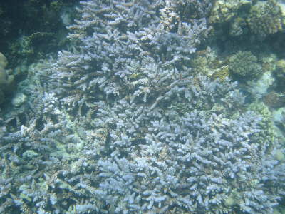 DSC02123