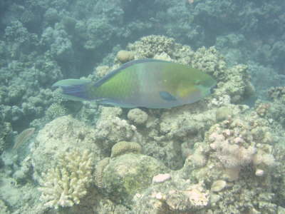 DSC02145