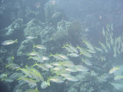 DSC02147