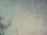DSC02150