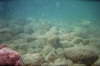 imm004_2