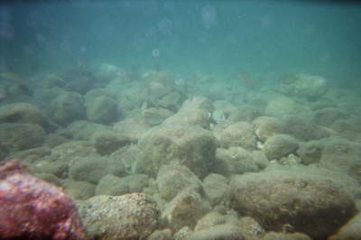 imm004_2