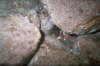 imm004_7