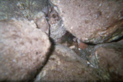 imm004_7