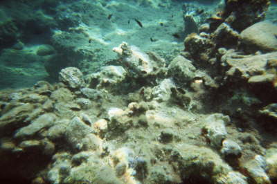 imm006_4A