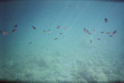 imm012_11