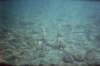 imm013_12