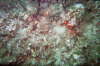 imm014_12A