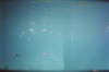 imm014_13