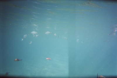 imm014_13